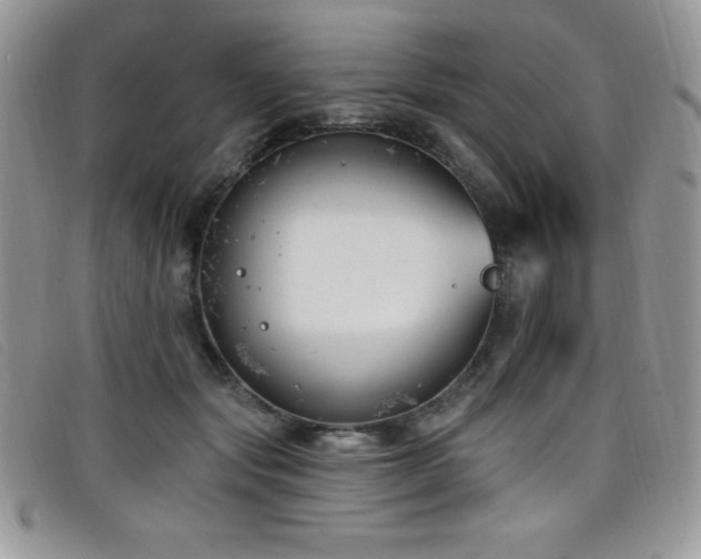 X0000099320557200805021316