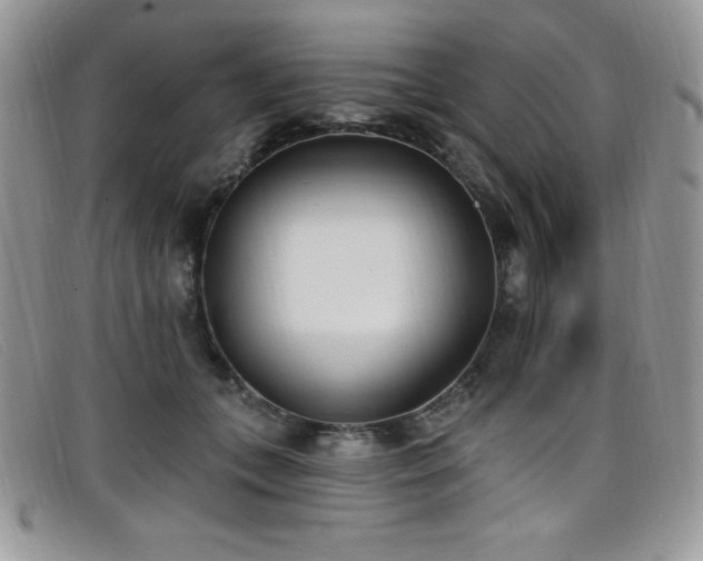 X0000099320559200805021316