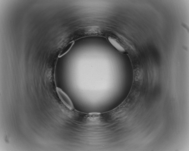 X0000099320560200805021316