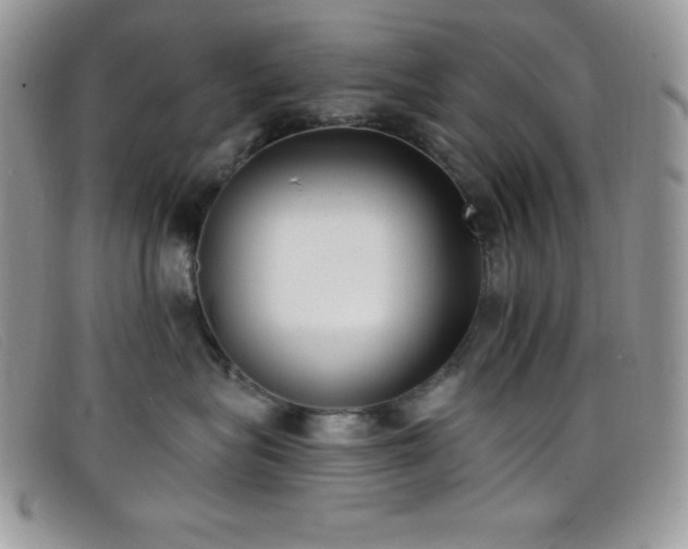 X0000099320575200805021316