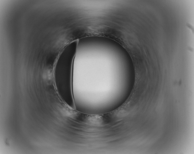 X0000099320576200805021316