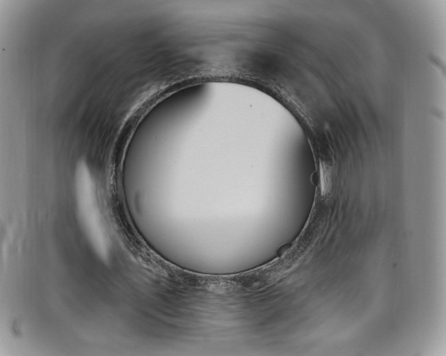 X0000099320579200805021315