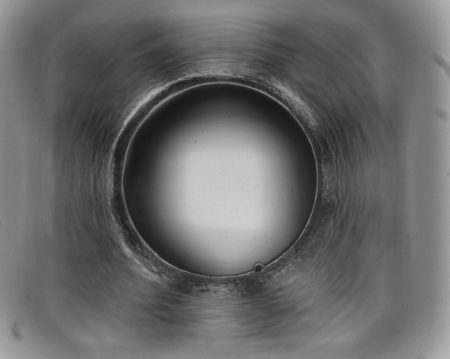 X0000099320580200805021315