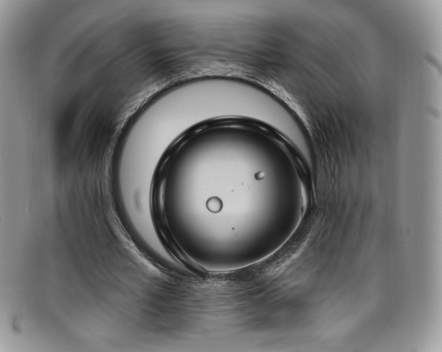 X0000099320581200805021315