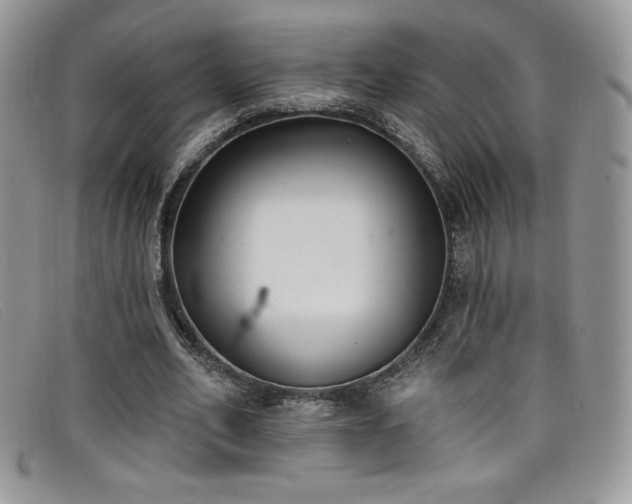 X0000099320582200805021315