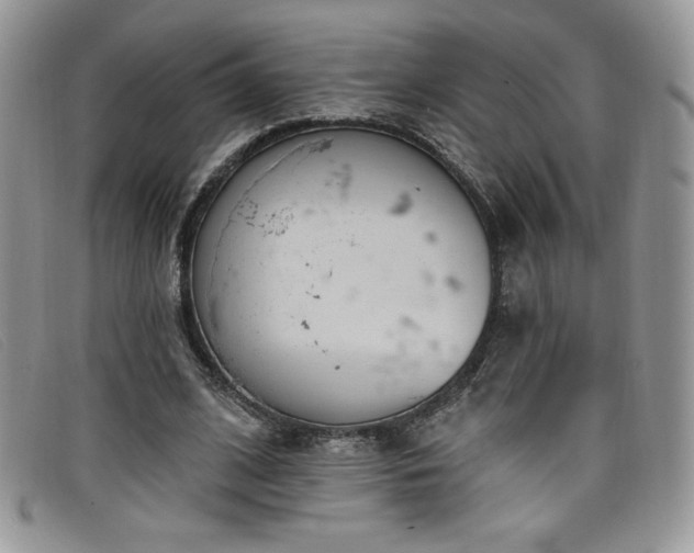 X0000099320584200805021315