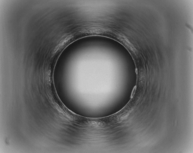 X0000099320585200805021315