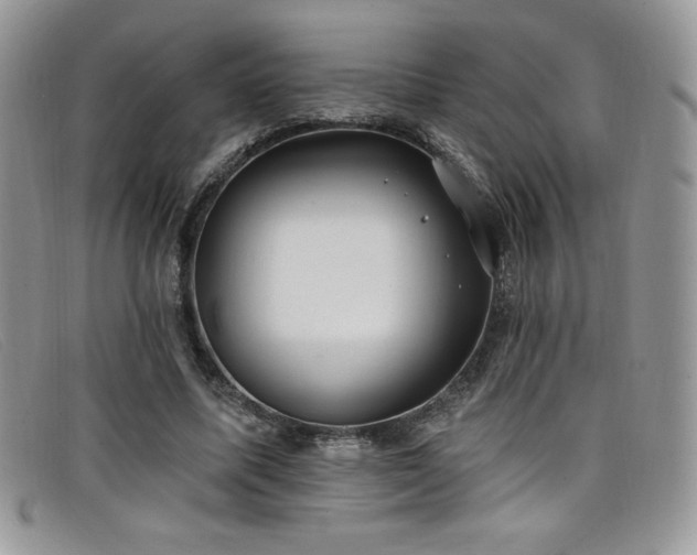 X0000099320587200805021315