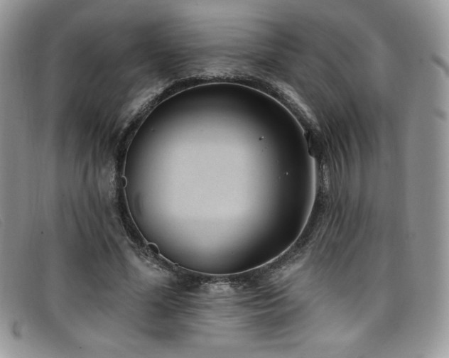 X0000099320588200805021315