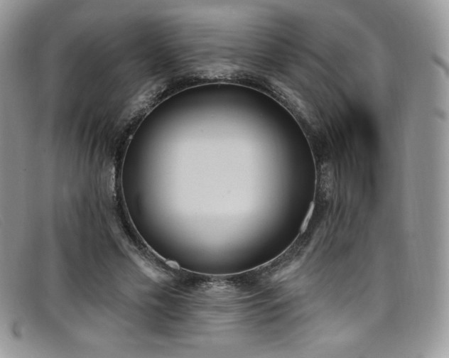 X0000099320589200805021315