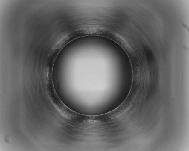 X0000099320590200805021315