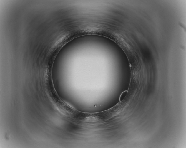 X0000099320591200805021315