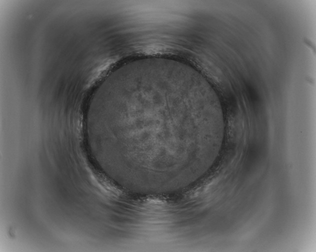 X0000099320592200805021315