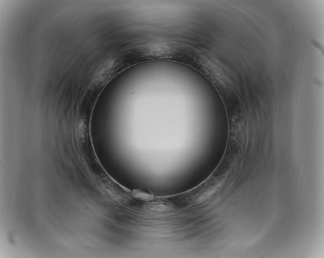 X0000099320597200805021315