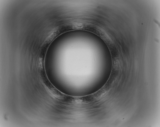 X0000099320598200805021315