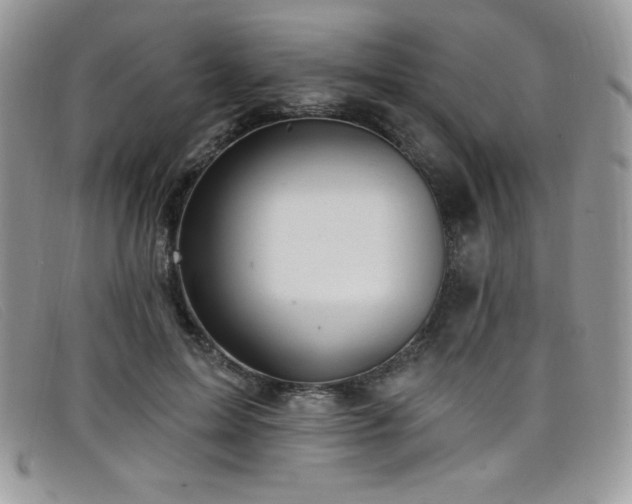 X0000099320599200805021315