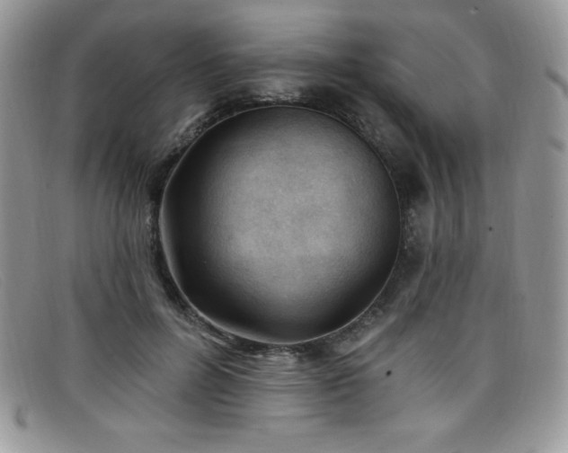 X0000099320600200805021315