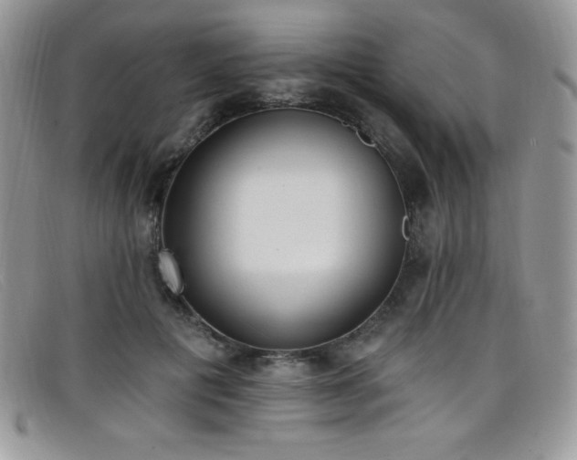 X0000099320601200805021315