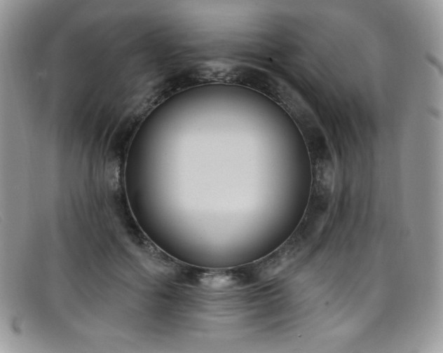 X0000099320602200805021315