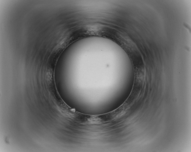 X0000099320603200805021315