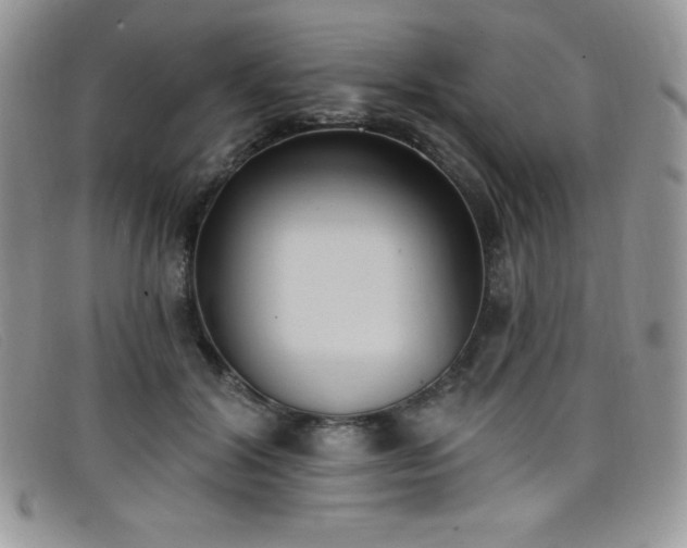 X0000099320604200805021315