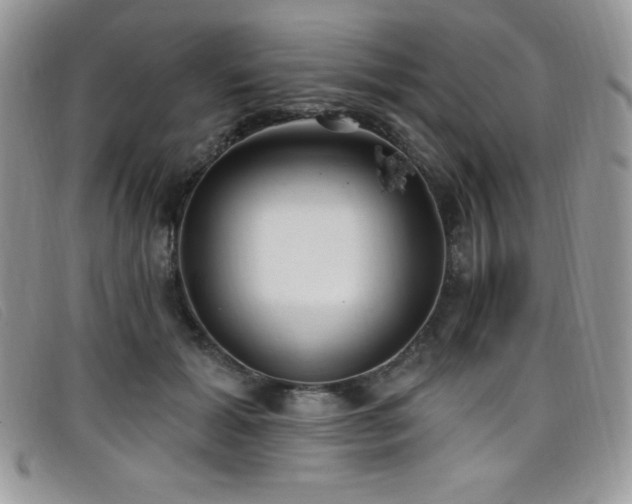 X0000099320605200805021315