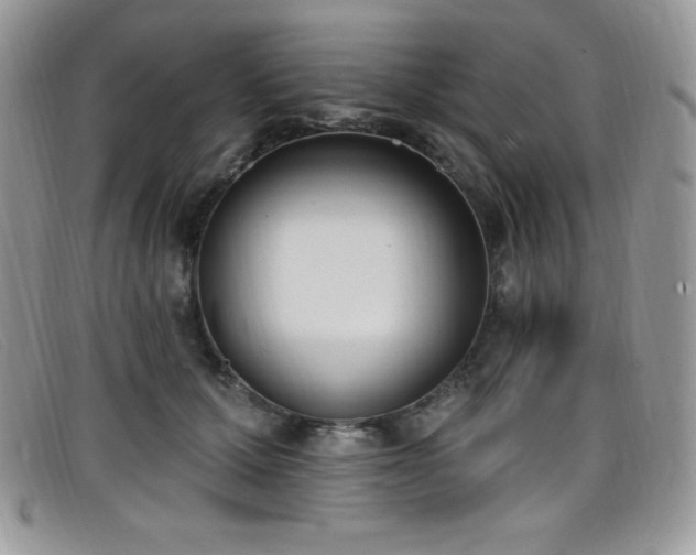 X0000099320607200805021315