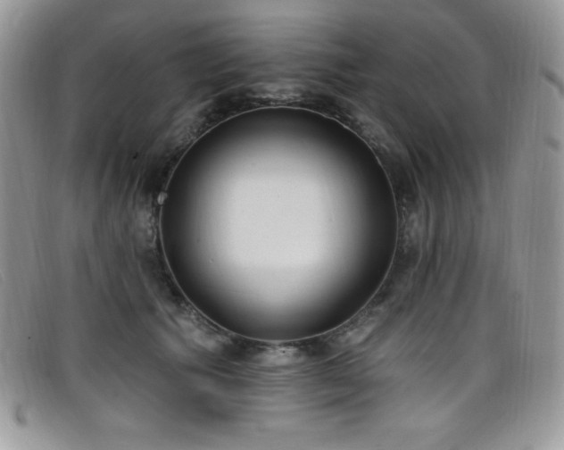 X0000099320609200805021315