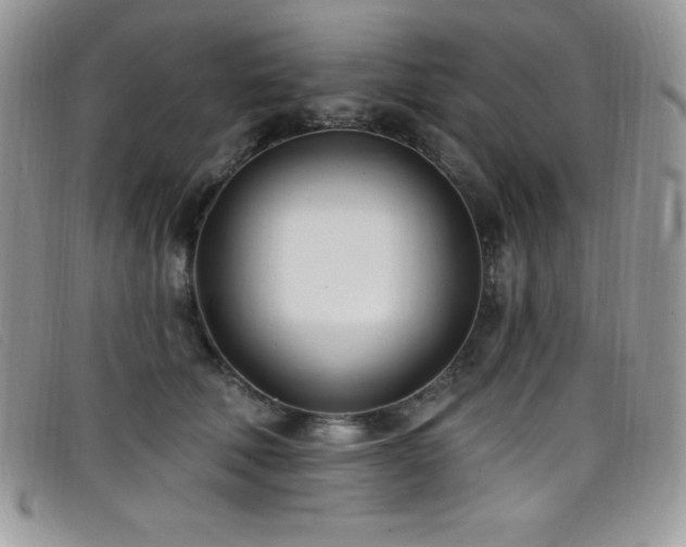 X0000099320610200805021315