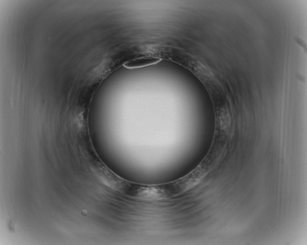 X0000099320611200805021315