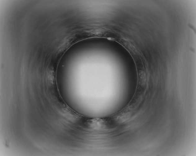 X0000099320612200805021315