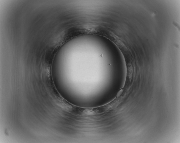 X0000099320613200805021315