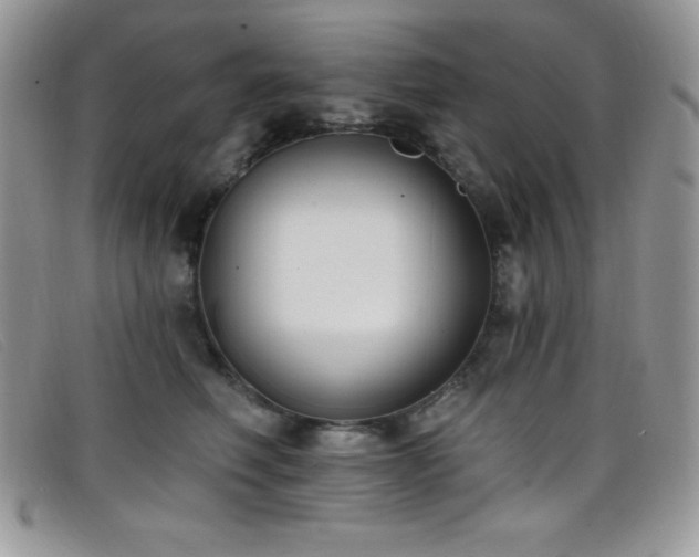X0000099320614200805021315