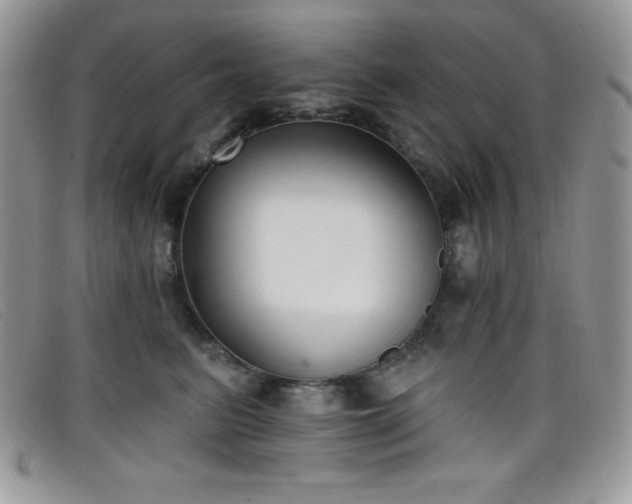 X0000099320615200805021315