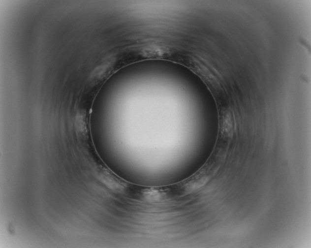 X0000099320616200805021315