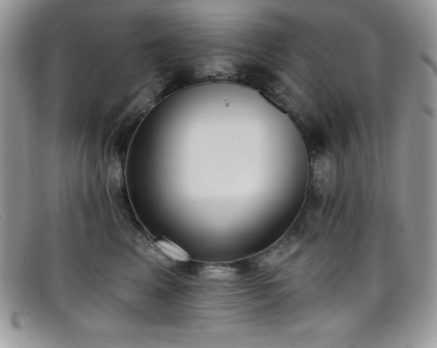 X0000099320617200805021315