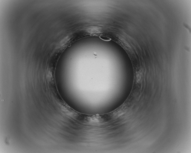 X0000099320618200805021315