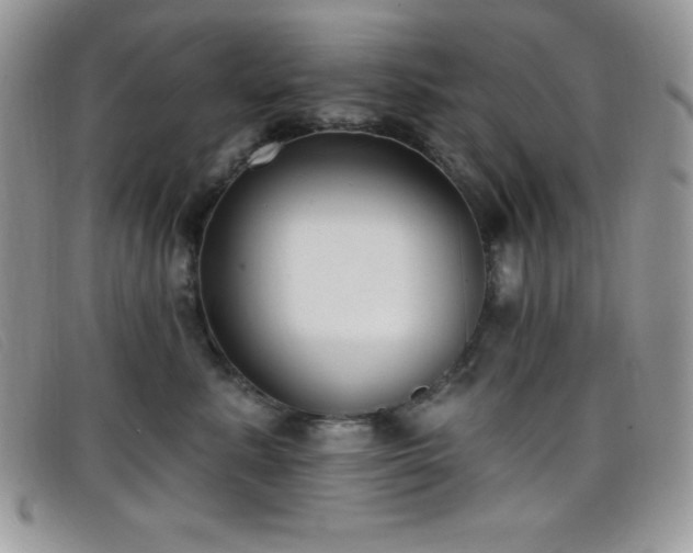 X0000099320619200805021315
