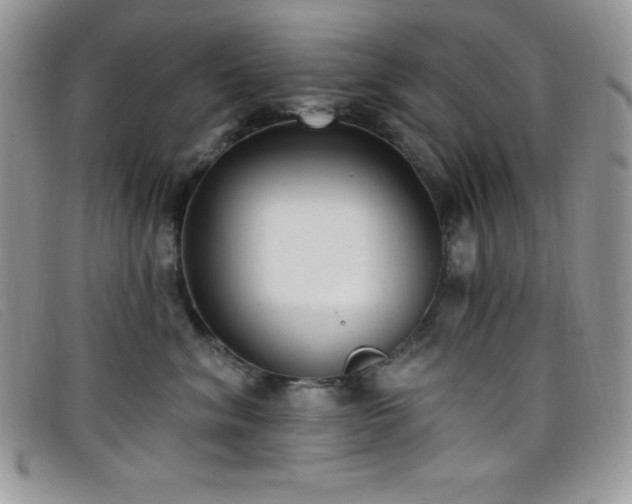 X0000099320620200805021315