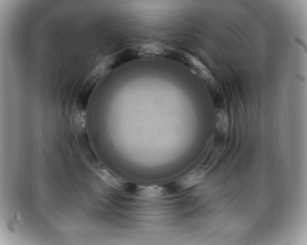 X0000099320621200805021315