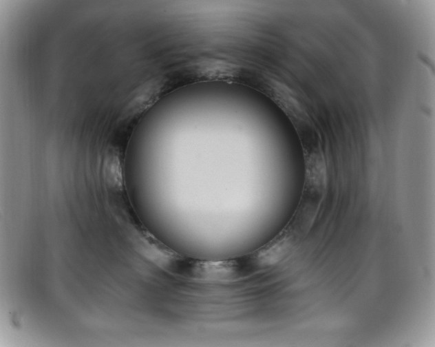 X0000099320622200805021315