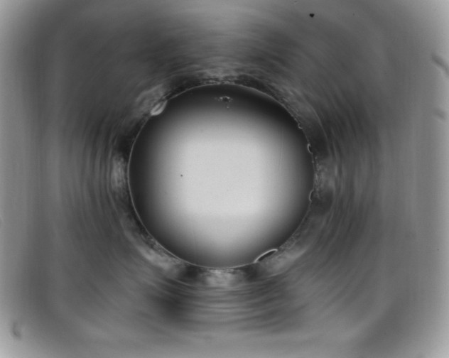 X0000099320623200805021315