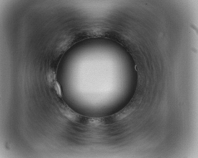 X0000099320624200805021315