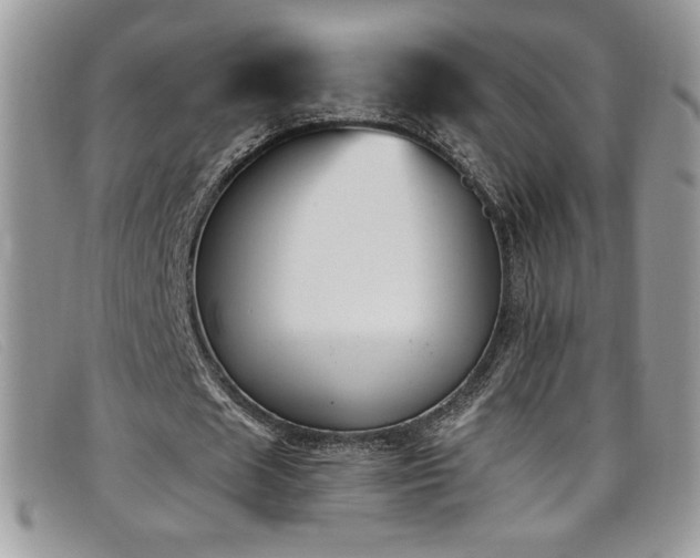 X0000099320625200805021314