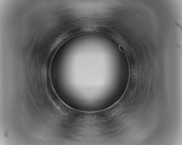 X0000099320626200805021314