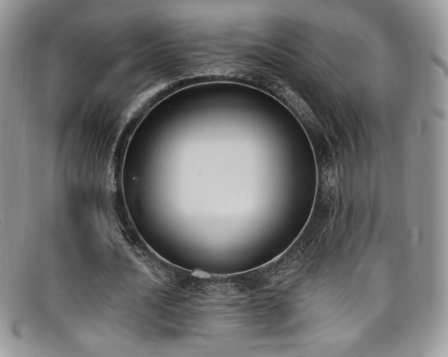X0000099320628200805021314