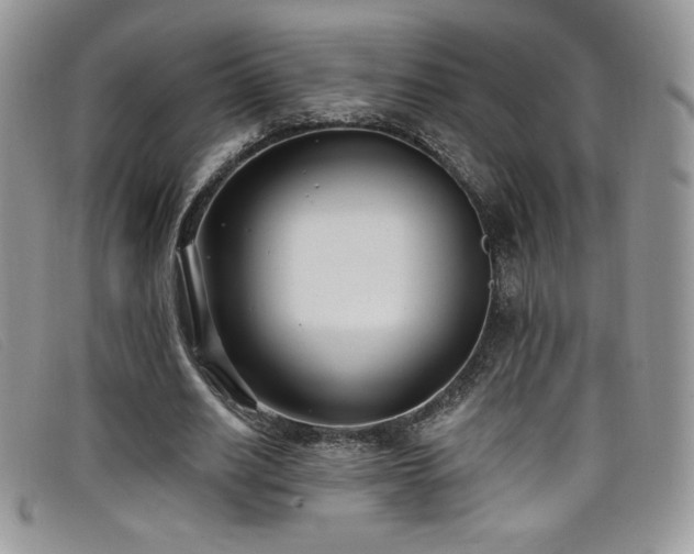 X0000099320630200805021314