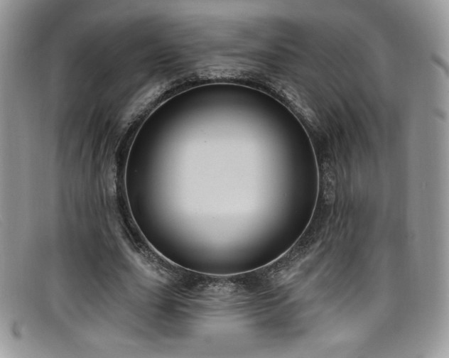 X0000099320631200805021314