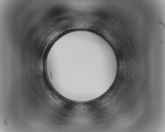 X0000099320632200805021314