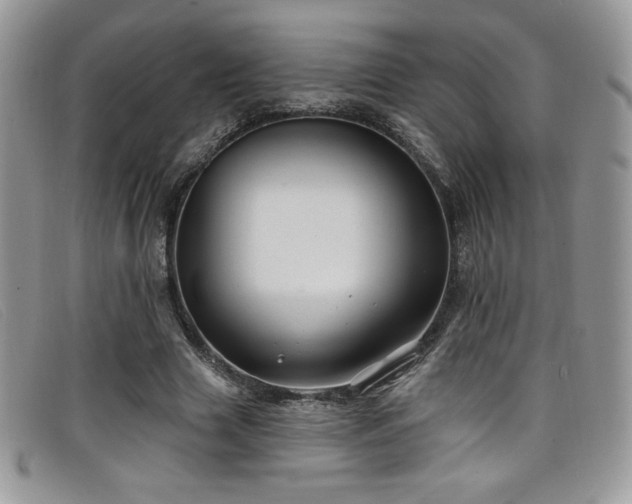 X0000099320633200805021314